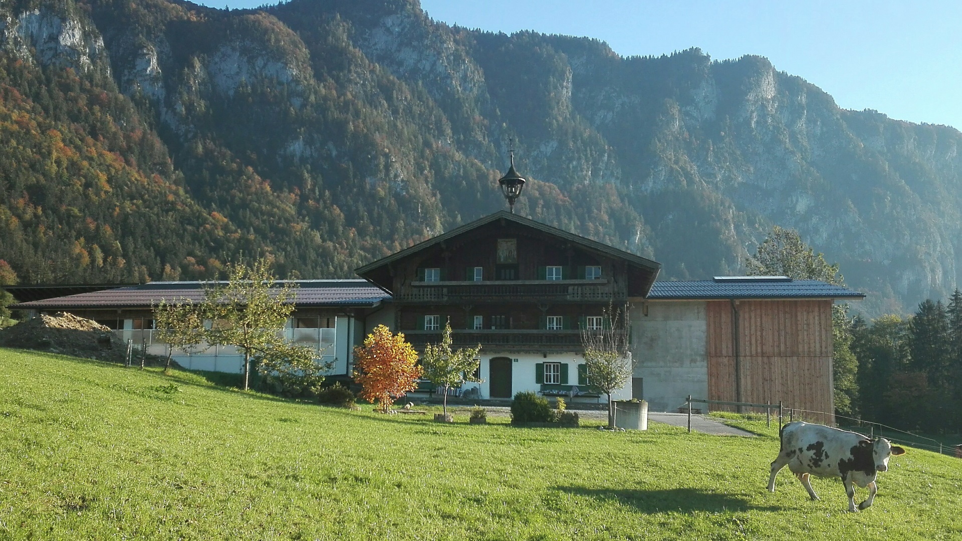Fohlenhof Ebbs stable - Haflinger Breeders Association of Tyrol