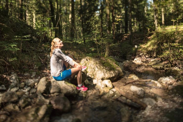 Forest and water - forest bathing