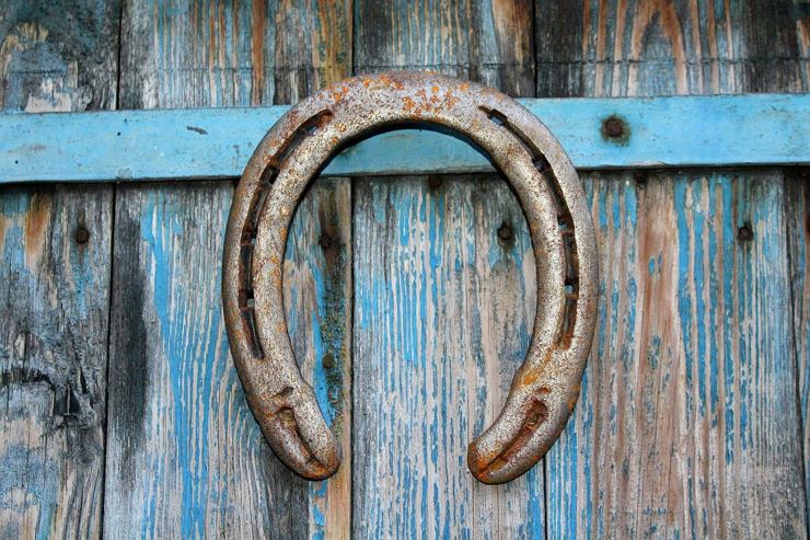 Horseshoe and plate throwing tournament