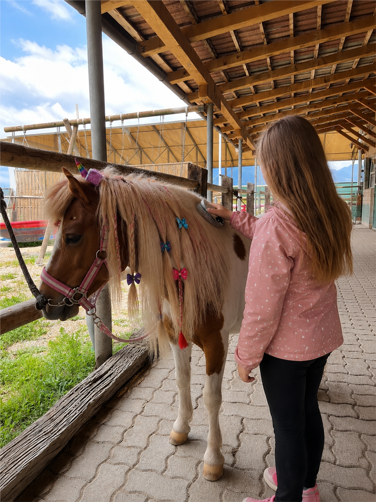 KINDERPROGRAMM -Pferdeglück am Salitererhof in Ebbs