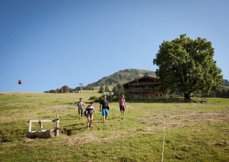 Gemeinsam Bewegt Tirol / Gemeinsam Wandern