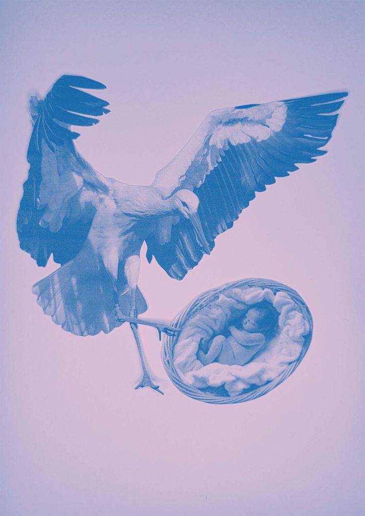 Geschichten vom Storch