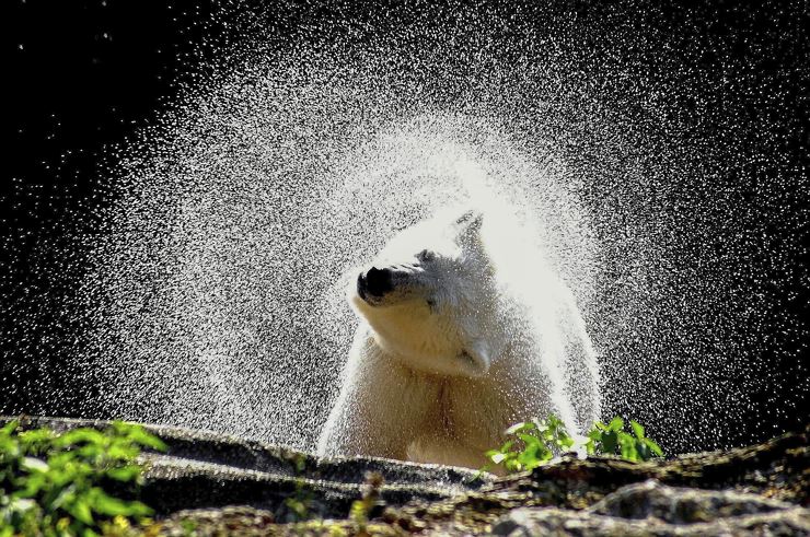 TEXT.WERKSTATT für junge AutorInnen von 8-16 Jahren