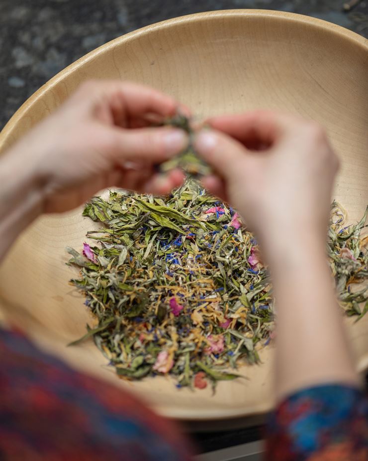 Kräuterpower macht winterfit - Schwoich