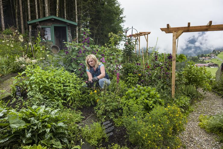 Visita al giardino delle erbe