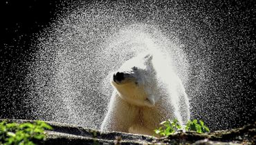 TEXT.WERKSTATT für junge AutorInnen von 8-16 Jahren