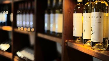 Wine tasting with Christoph Bauer winery