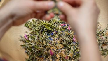 Kräuterpower macht winterfit - Schwoich